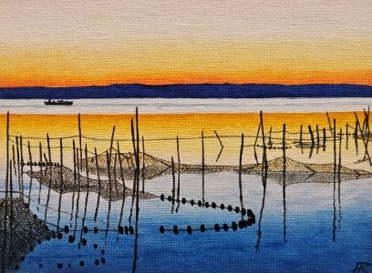 Albufera 41